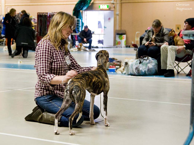 Utställning i Sollentuna