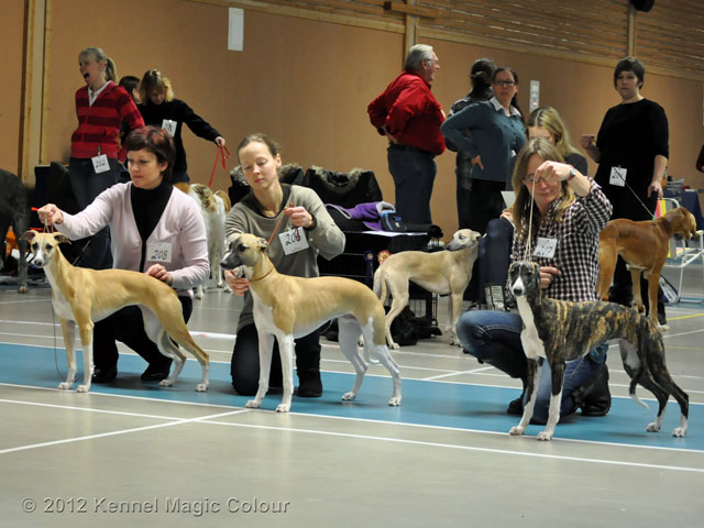 Utställning i Sollentuna