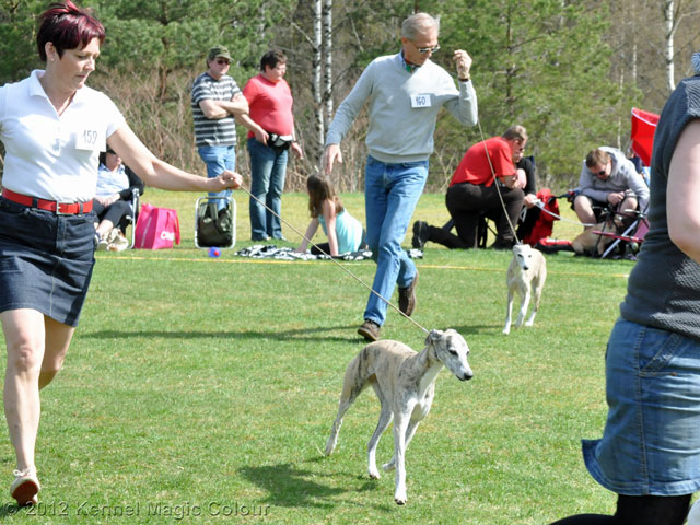 Utställning i Smålandsstenar