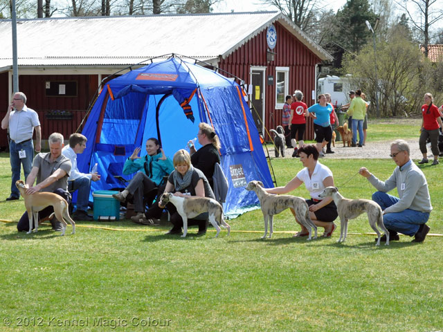 Utställning i Smålandsstenar