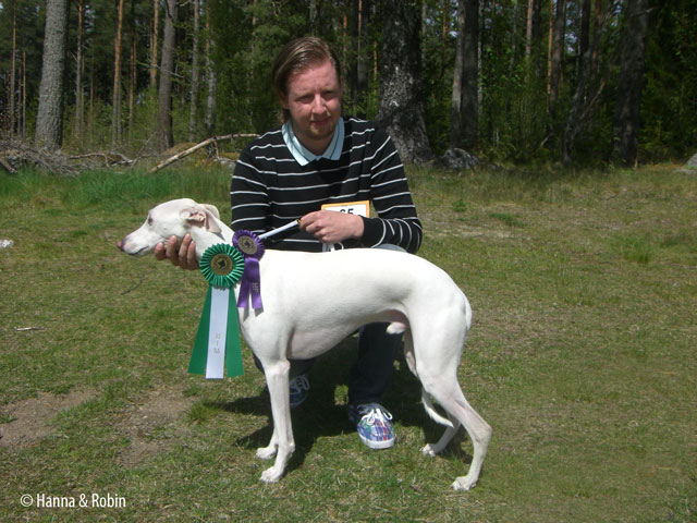 Blanco på utställning