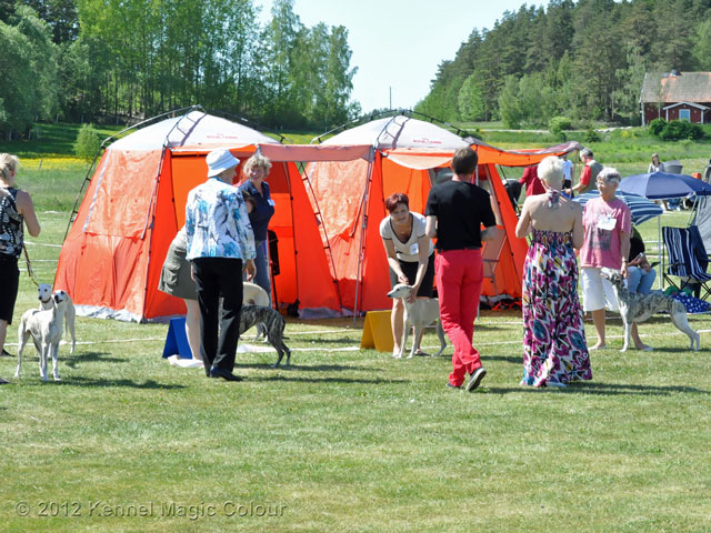 Utställning i Vallentuna