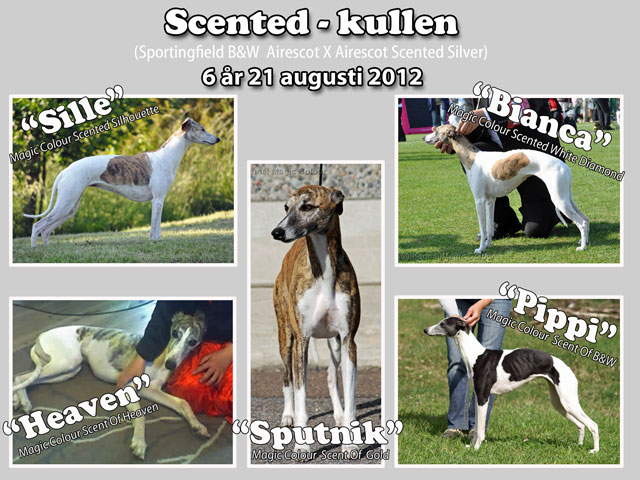 Scented kulle 6 år