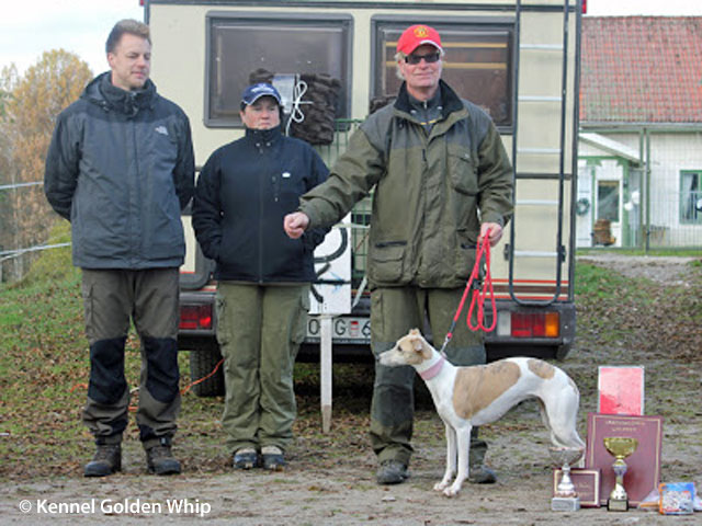 Utställning i Enköping