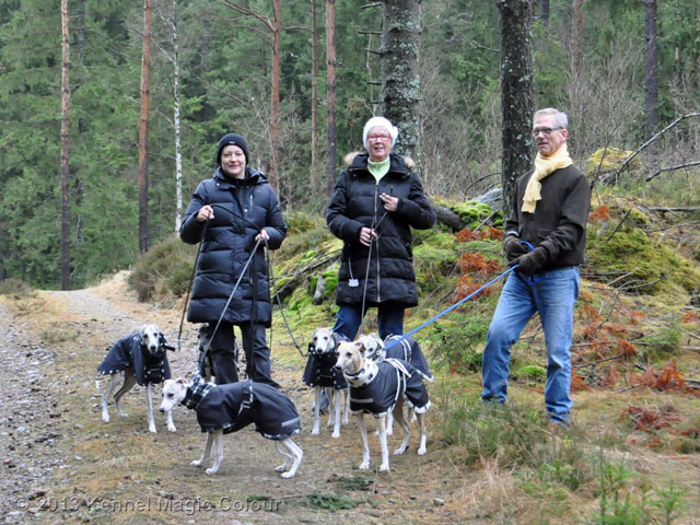 Nyår 2012/13