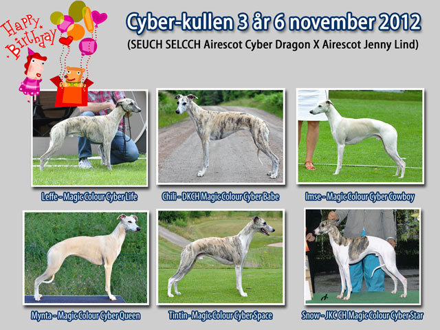 Cyber-kullen
