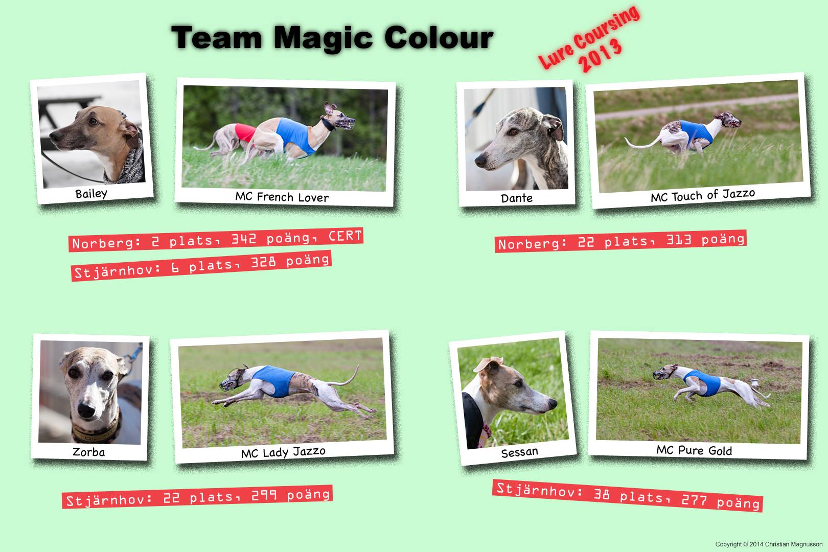 Team Magic Colour LC