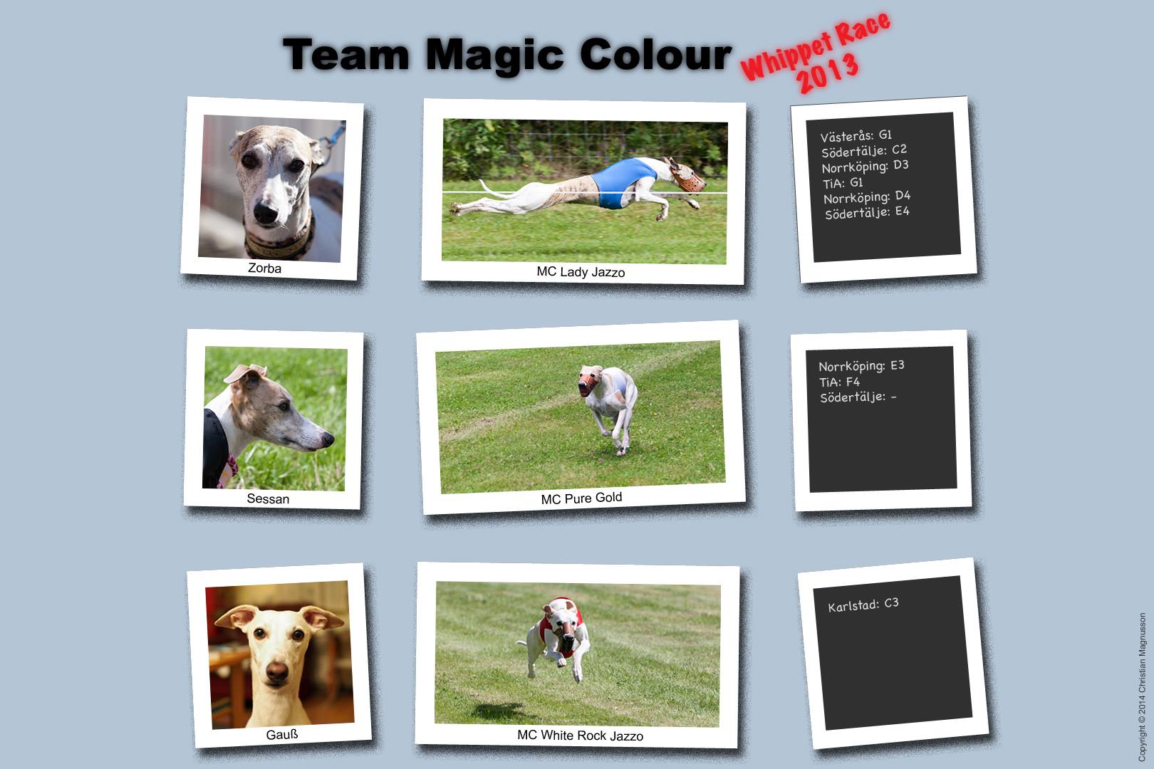 Team Magic Colour