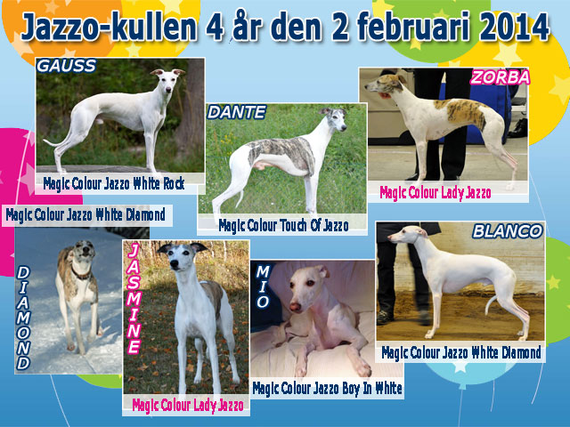 Jazzo Kullen