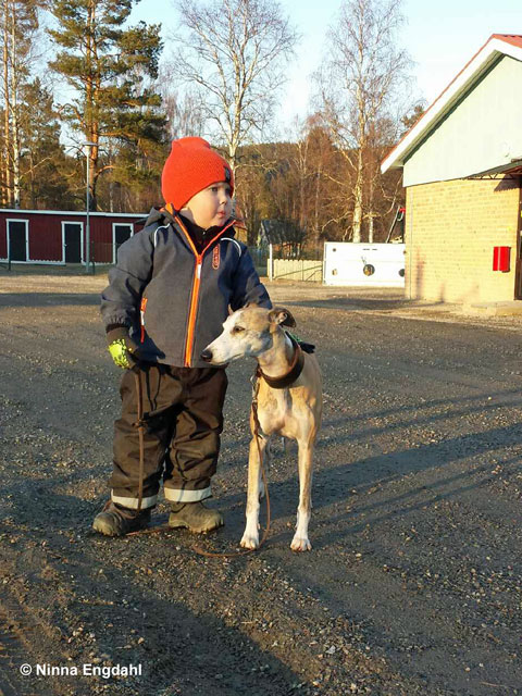 Tiger och lill-husse