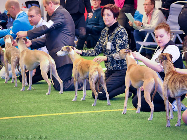 SvK Utställning i Sundsvall