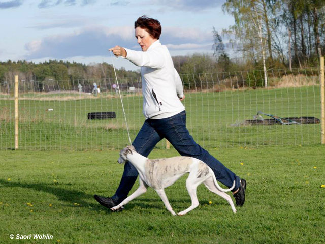 Chanel på utsällningsträning
