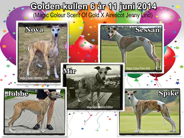 Goldkullen