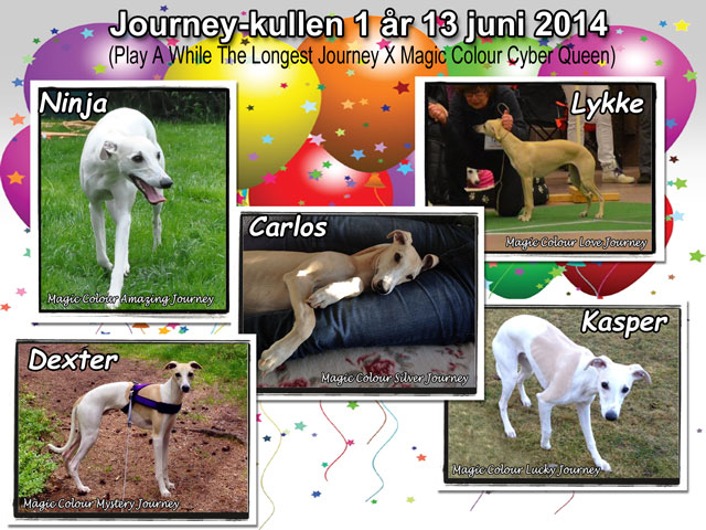 Journey kullen
