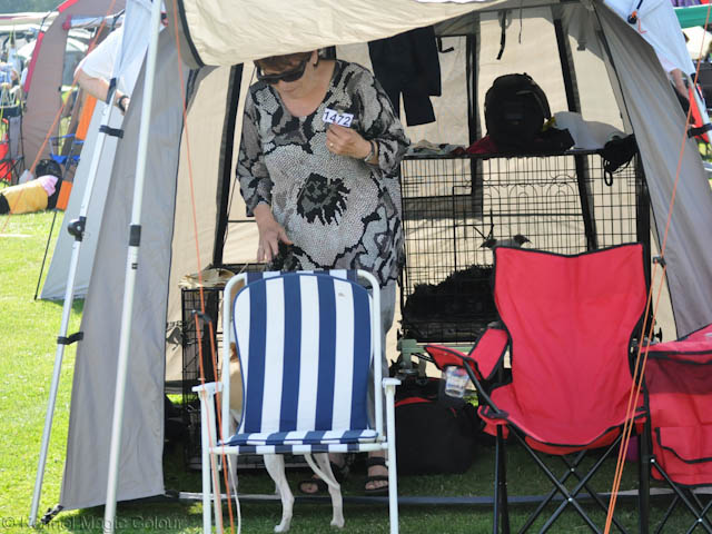 Utställning Tvååker