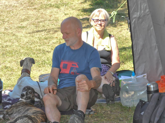Tammsvik 2014