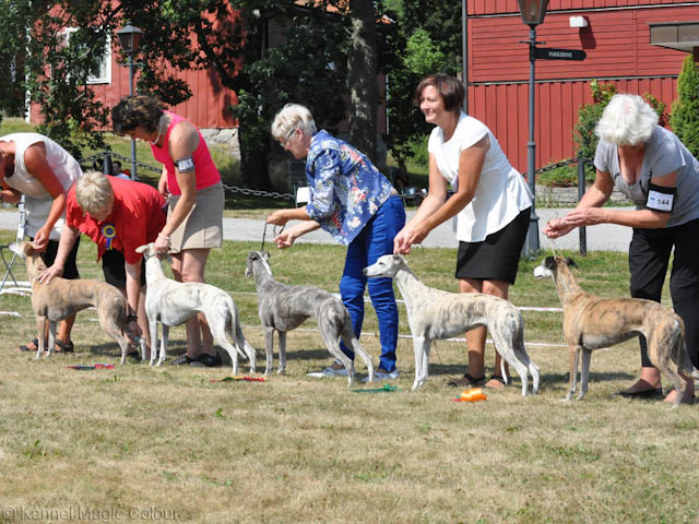 Tammsvik 2014