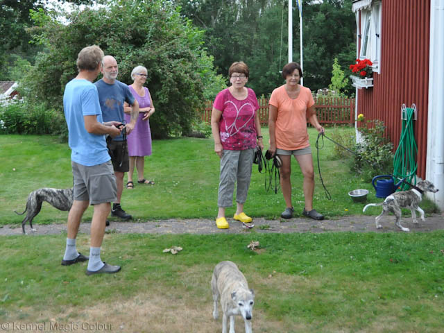 Besök hos Lovis