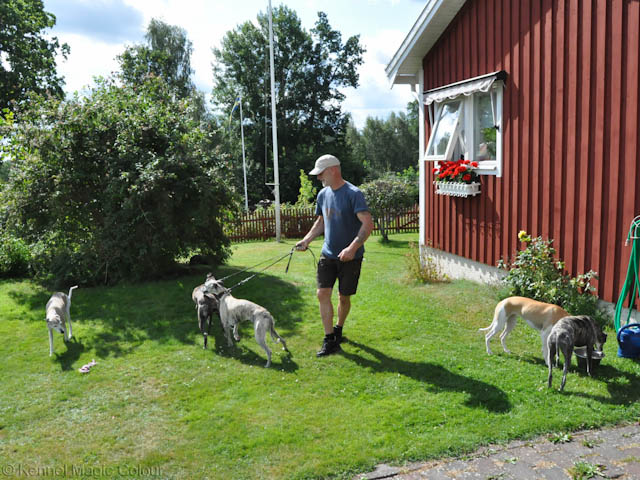Besök hos Lovis