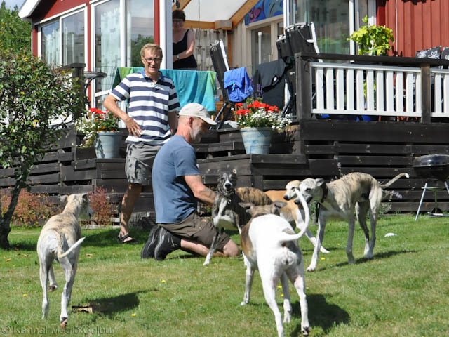 Besök hos Lovis