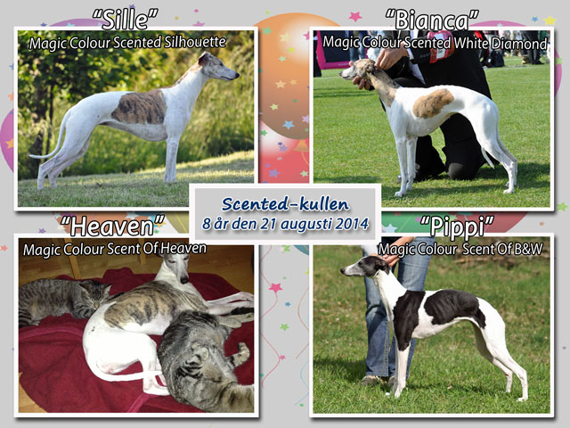 Scented kullen