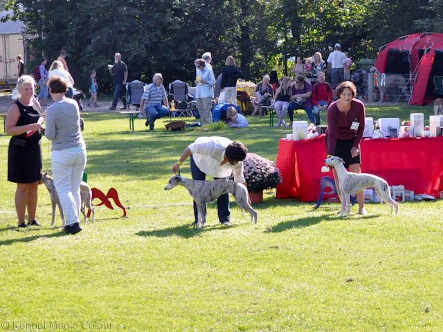 Utställning i Roskilde (DK)
