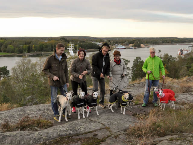 Åland valpträff
