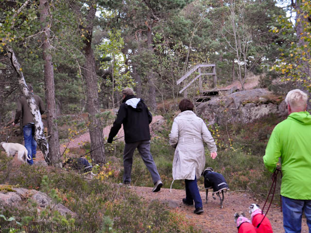 Åland valpträff