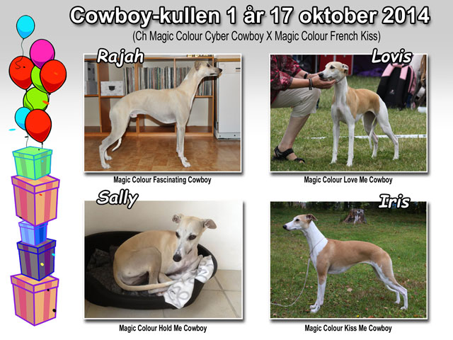 Cowboy-kullen