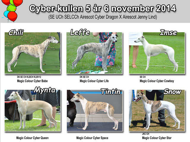 Cyberkullen 5 år