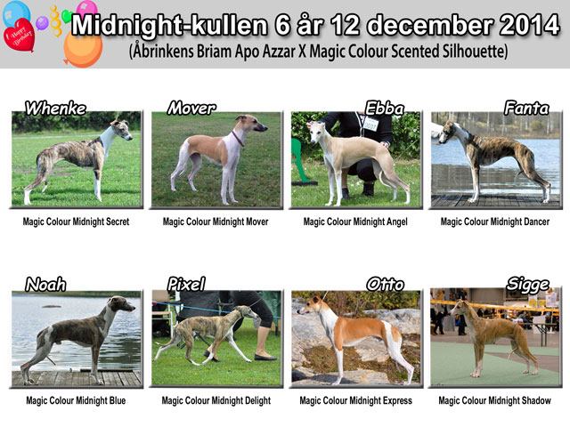 Midnight-kullen