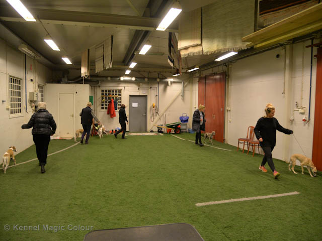 Ringträning