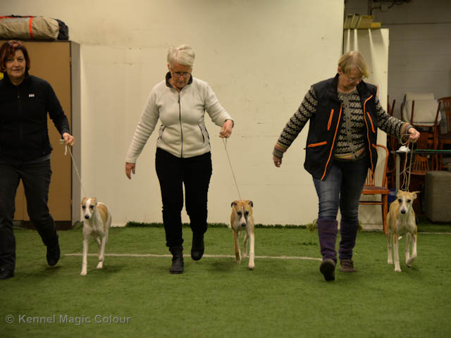 Ringträning