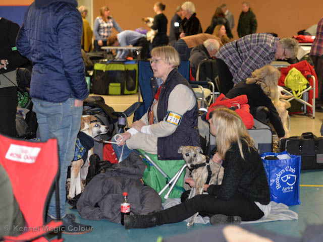 Valputställning i Sollentuna