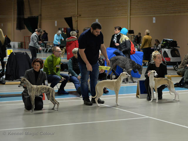 Valputställning i Sollentuna