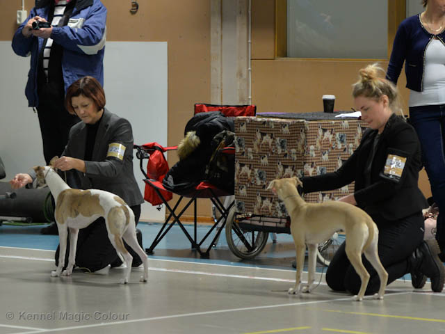 Valputställning i Sollentuna