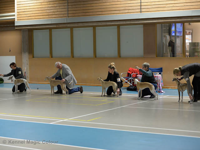 Valputställning i Sollentuna
