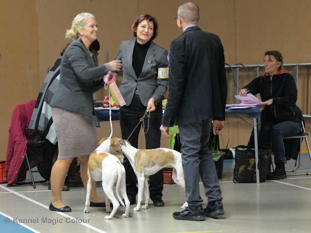 Valputställning i Sollentuna
