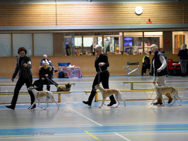 Valputställning i Sollentuna