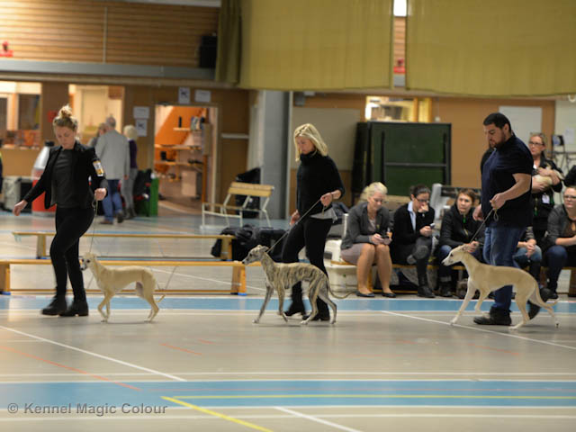 Valputställning i Sollentuna