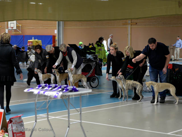 Valputställning i Sollentuna