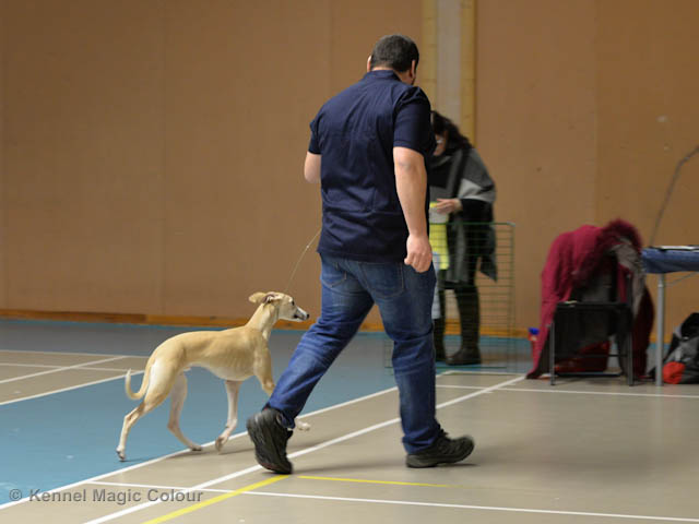 Valputställning i Sollentuna