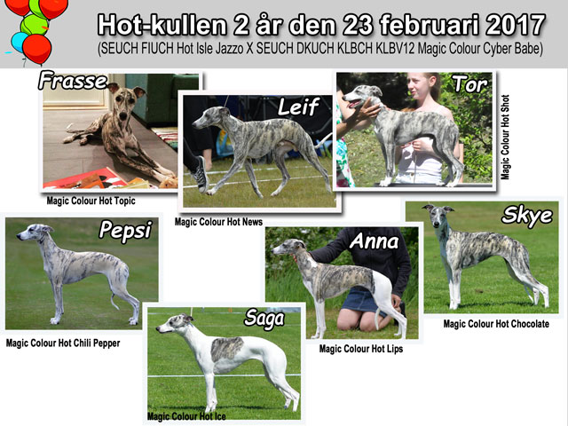 Hot-kullen