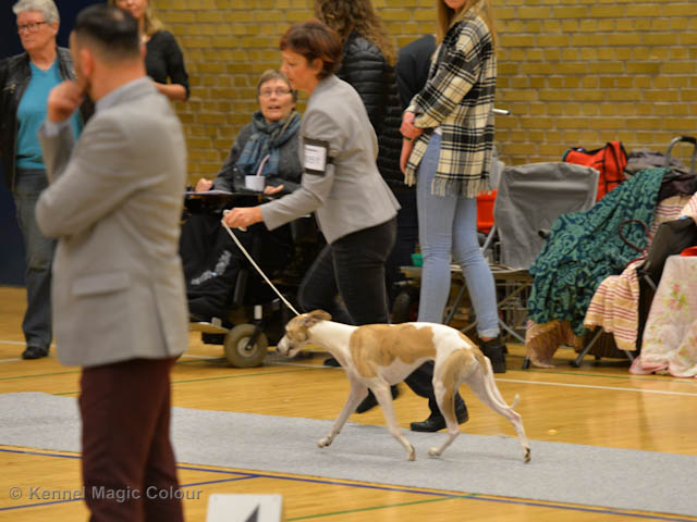 Utställning i Köge