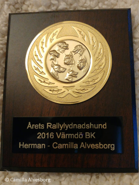 Herrman