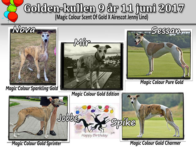Gold-kullen 9 år