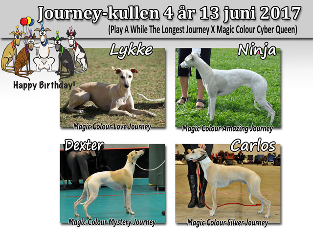 Journey-kullen 4 år