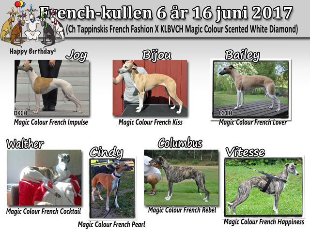 French-kullen 6 år