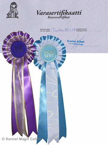 Turku Winther Dog Show