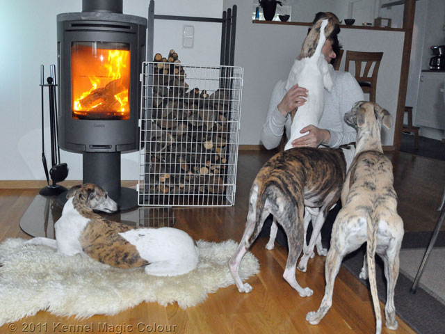 Bianca känner igen kennel-matte